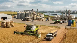 Miniatura do artigo de Gestão Agrícola: Destino da Soja: Guia Completo sobre Óleo e Farelo [2025]