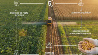 Miniatura do artigo de Manejo de Doencas: Doenças de Final de Ciclo da Soja: Guia Completo de Identificação e Manejo