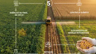 Miniatura do artigo de Manejo de Doencas: Doenças de Final de Ciclo da Soja: Guia Completo de Identificação e Manejo
