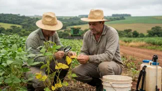Miniatura do artigo de Gestão Agrícola: Doenças de Hortaliças: Guia de Manejo e Prevenção [2025]