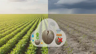 Miniatura do artigo de Gestão Agrícola: Dormência de Sementes: O que É e Como Superar na Lavoura