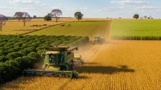 Miniatura do artigo de Gestão Agrícola: Economize 10% com Maquinário: Caso Fazenda Graça de Deus