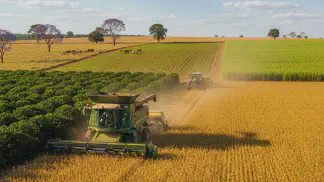 Miniatura do artigo de Gestão Agrícola: Economize 10% com Maquinário: Caso Fazenda Graça de Deus