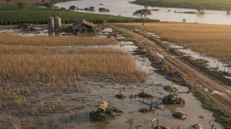 Miniatura do artigo de Gestão Agrícola: Enchentes no RS: O Impacto Detalhado na Agricultura e na Economia do Brasil
