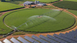 Miniatura do artigo de Gestão Agrícola: Energia Solar na Agricultura: Reduza Custos e Aumente Lucros