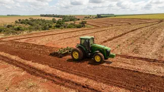 Miniatura do artigo de Gestão Agrícola: Manejo do Solo na Mamona: Guia Prático contra Erosão [2025]