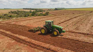 Miniatura do artigo de Gestão Agrícola: Manejo do Solo na Mamona: Guia Prático contra Erosão [2025]
