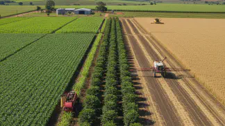 Miniatura do artigo de Gestão Agrícola: Espaçamento entre Plantas: Como Definir a Distância Ideal para Sua Lavoura