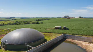 Miniatura do artigo de Gestão Agrícola: Esterco Suíno na Adubação: Guia Completo de Manejo [2025]