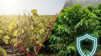 Miniatura do artigo de Gestão Agrícola: Estresse Térmico nas Plantas: O Que É e Como Proteger Sua Lavoura