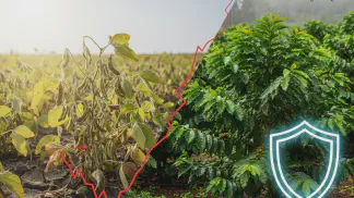 Miniatura do artigo de Gestão Agrícola: Estresse Térmico nas Plantas: O Que É e Como Proteger Sua Lavoura