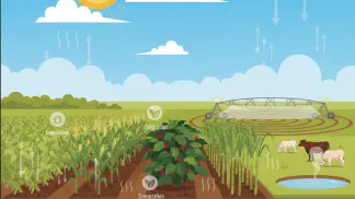 Miniatura do artigo de Gestão Agrícola: Evapotranspiração: Como Otimizar Irrigação e Produtividade Agrícola