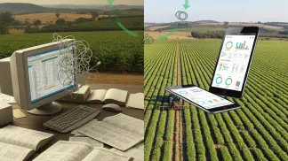 Miniatura do artigo de Historias de Sucesso: Fazenda AgroQuiste: Como o Aegro Ajudou a Transformar Informação em Lucro