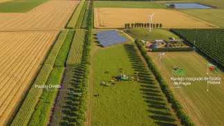 Miniatura do artigo de Gestão Agrícola: Fazenda Sustentável: Como Aumentar Lucratividade e Resiliência