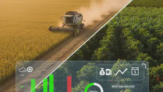 Miniatura do artigo de Gestão Financeira: Fechamento de Safra: 5 Passos para Calcular Rentabilidade da Lavoura