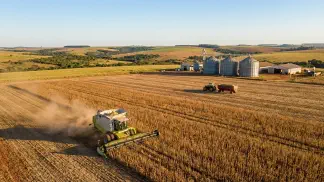 Miniatura do artigo de Gestão Agrícola: Qualidade do Feijão: Guia de Nutrição e Mercado [2025]