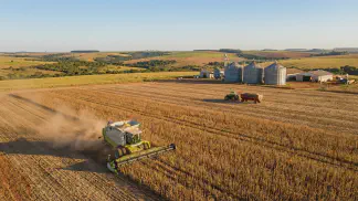 Miniatura do artigo de Gestão Agrícola: Qualidade do Feijão: Guia de Nutrição e Mercado [2025]