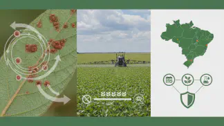 Miniatura do artigo de Gestão Agrícola: Ferrugem Asiática da Soja: Guia Completo sobre Ciclo, Identificação e Manejo