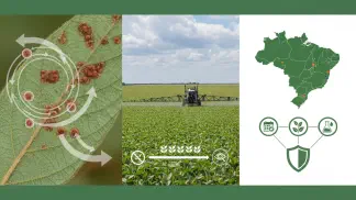 Miniatura do artigo de Gestão Agrícola: Ferrugem Asiática da Soja: Guia Completo sobre Ciclo, Identificação e Manejo