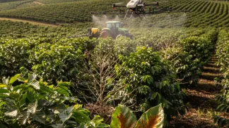 Miniatura do artigo de Gestão Agrícola: Ferrugem do Cafeeiro: Guia Completo para Identificar e Controlar a Doença