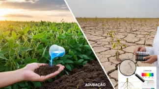 Miniatura do artigo de Gestão Agrícola: Fertilidade do Solo e Adubação: O Guia Prático para Aumentar sua Produtividade