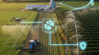 Miniatura do artigo de Gestão Financeira: Finanças no Agronegócio: Um Guia Prático para Uma Gestão Eficiente
