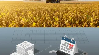 Miniatura do artigo de Gestão Financeira: Fluxo de Caixa Rural: 4 Passos para Organizar Sua Fazenda