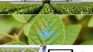 Miniatura do artigo de Manejo de Doencas: Fungicida Morfolina: O Que É e Como Usar no Manejo de Doenças