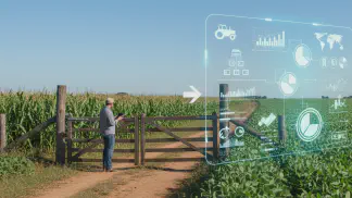 Miniatura do artigo de Gestão Agrícola: Gerenciamento Rural: 5 Dicas Práticas para Aumentar a Eficiência da Sua Fazenda