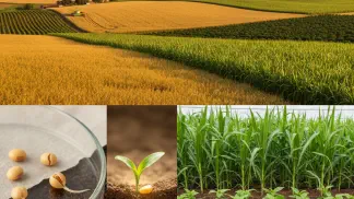 Miniatura do artigo de Gestão Agrícola: Germinação de Sementes: O Guia Completo para Garantir o Estande da Lavoura