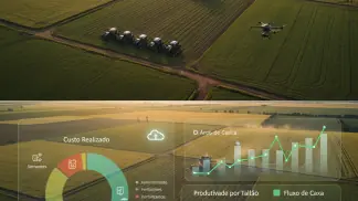 Historias-De-Sucesso