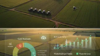 Miniatura do artigo de Historias de Sucesso: Gestão Agrícola: Como Uma Fazenda Transformou o Controle de Custos