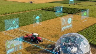 Miniatura do artigo de Gestão Agrícola: Gestão Agro: Como Organizar Sua Fazenda Para Lucrar Mais