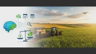 Miniatura do artigo de Gestão Financeira: Gestão de Custos na Fazenda: 4 Passos Essenciais para Aumentar a Lucratividade