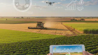 Miniatura do artigo de Gestão Agrícola: Gestão de Fazendas: O Guia Completo Para Aumentar a Rentabilidade