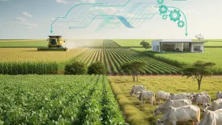 Miniatura do artigo de Gestão Agrícola: Gestão Rural: Como Profissionalizar sua Fazenda e Aumentar Lucros