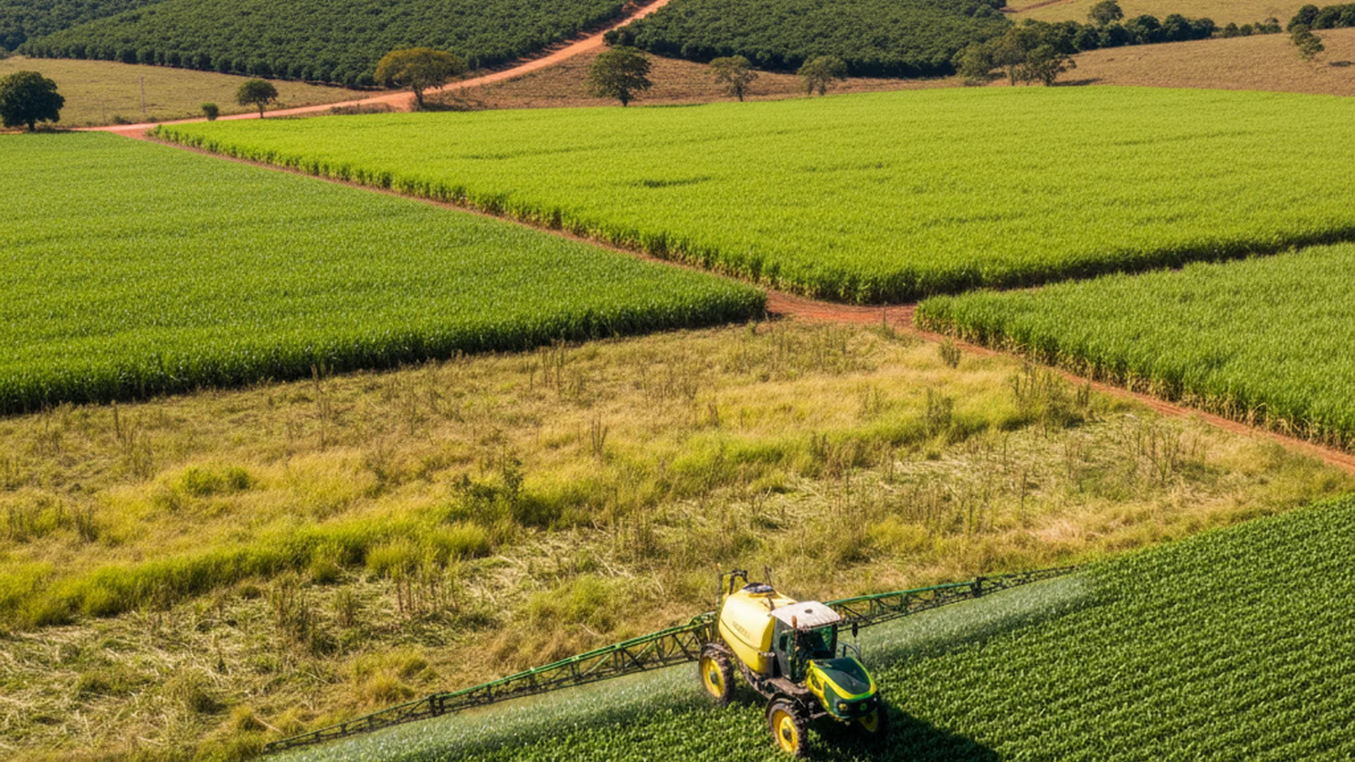 Glifosato: 7 Formas de Usar + Como Controlar Plantas Daninhas [Guia 2025]