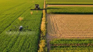 Miniatura do artigo de Gestão Agrícola: Glifosato: O Que É, Para Que Serve e Como Usar