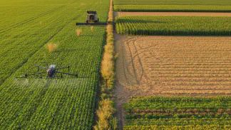 Miniatura do artigo de Gestão Agrícola: Glifosato: O Que É, Para Que Serve e Como Usar