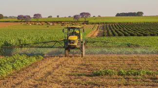 Miniatura do artigo de Manejo de Plantas Daninhas: Glifosato: Como Aplicar + Doses Recomendadas 2025