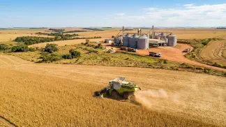 Miniatura do artigo de Gestão Agrícola: Grão x Semente de Soja: Diferenças na Produção [Guia 2025]