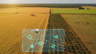 Miniatura do artigo de Historias de Sucesso: Grupo Cremonesi: Menos Papelada, Mais Lucro com Aegro (Uma História de Sucesso)
