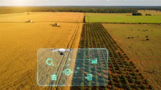 Miniatura do artigo de Historias de Sucesso: Grupo Cremonesi: Menos Papelada, Mais Lucro com Aegro (Uma História de Sucesso)