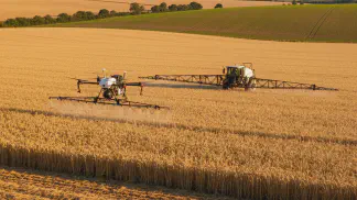 Miniatura do artigo de Manejo de Doencas: Guia Completo: As 8 Principais Doenças do Trigo e Como Fazer o Manejo Correto