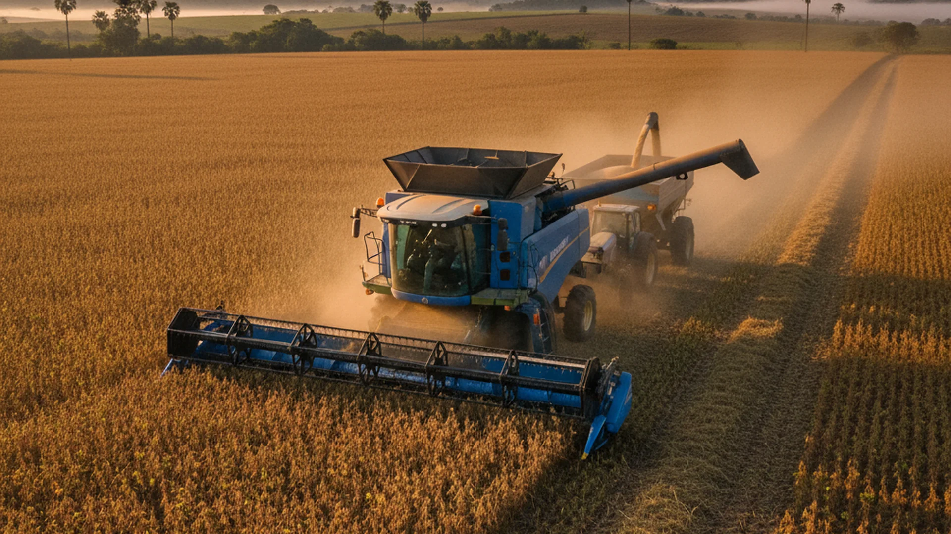 Guia Completo: Como Escolher a Colheitadeira Ideal para Grãos e Café