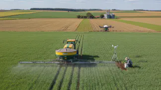 Miniatura do artigo de Manejo de Doencas: Guia Completo da Adubação de Trigo: Do Plantio à Colheita
