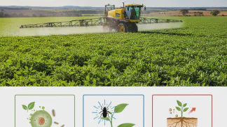 Miniatura do artigo de Gestão Agrícola: Guia Completo de Defensivos Agrícolas: Tipos, Aplicação e Segurança