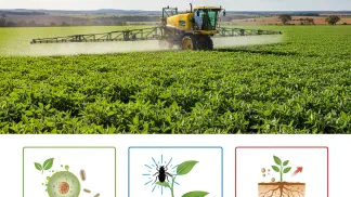 Miniatura do artigo de Gestão Agrícola: Guia Completo de Defensivos Agrícolas: Tipos, Aplicação e Segurança