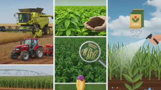 Miniatura do artigo de Gestão Financeira: Guia Completo sobre Insumos Agrícolas: Tipos, Compra e Tendências para 2025