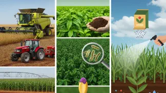 Miniatura do artigo de Gestão Financeira: Guia Completo sobre Insumos Agrícolas: Tipos, Compra e Tendências para 2025